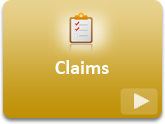 How do I use expense claim module?