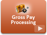 How can I calculate and view the gross pay processing for a period?